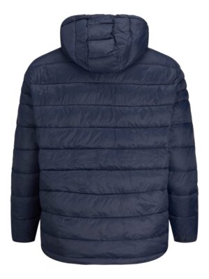 jj  3687953  back