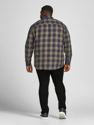 jj  3042256  back1