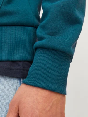φούτερ μπλούζα με κουκούλα 12256807 Deep Teal (3)