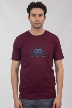 T shirt με τύπωμα TS 9017 Rasberry (4)