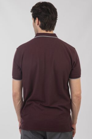 t shirt polo PS 3045 Aubergine
