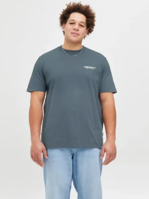 t shirt με στάμπα πίσω 12278557 Stormy Weather (4)
