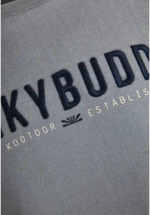Ανδρικό φούτερ με τυπωμένο logo The essentials FBM012 004 06 Steel Grey (2)