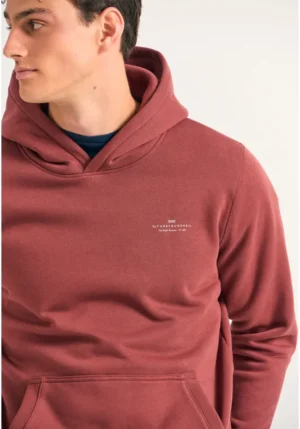 essentials μονόχρωμο φούτερ με κουκούλα FBM012 002 06 Henna Brown (4)
