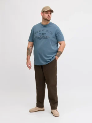 t shirt 12294518 Blue Mirage (3)