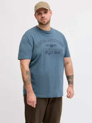 t shirt 12294518 Blue Mirage