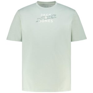 t shirt 12302398 Aqua Gray (2)